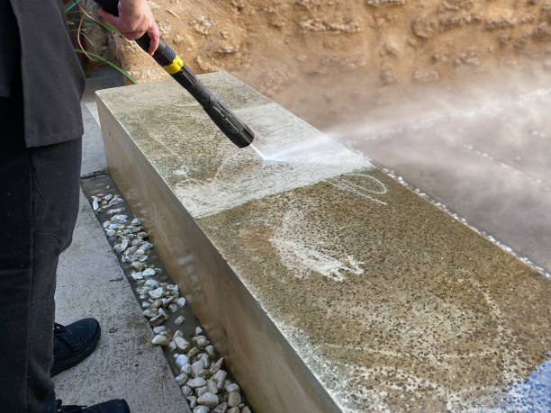 Best Roof Pressure Washing  in Norwood, NC